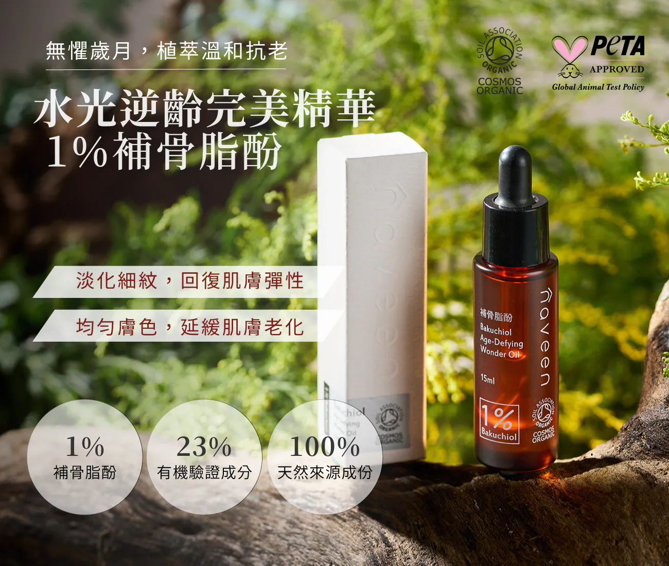 1.webp