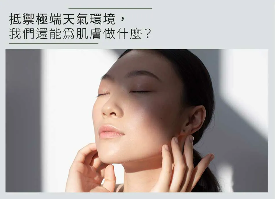 2.webp
