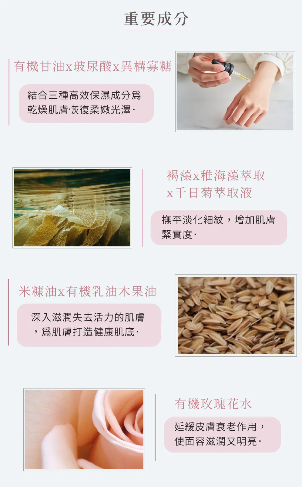 6.webp